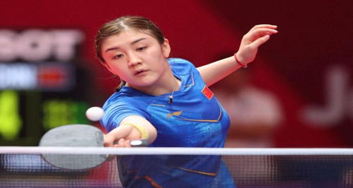 校园安全的 校园安全的